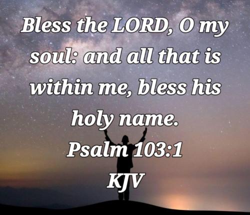 c47474e6-c98e-4604-bfe6-bb80d05eeb8d