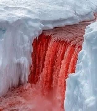 10:48:32 GMT-0600 (CST)