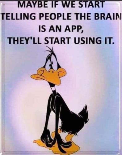 367A2125-5374-452E-99E9-3612BEE7B3CF