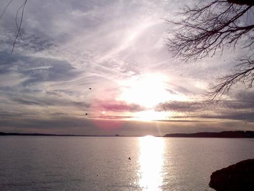 QVZpVkZXWVR2OHlMcHpoYkVob2l1T1Zy