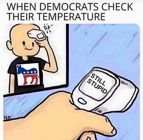 image_112F8704-E9FF-4C62-83AB-51C8FD19125B