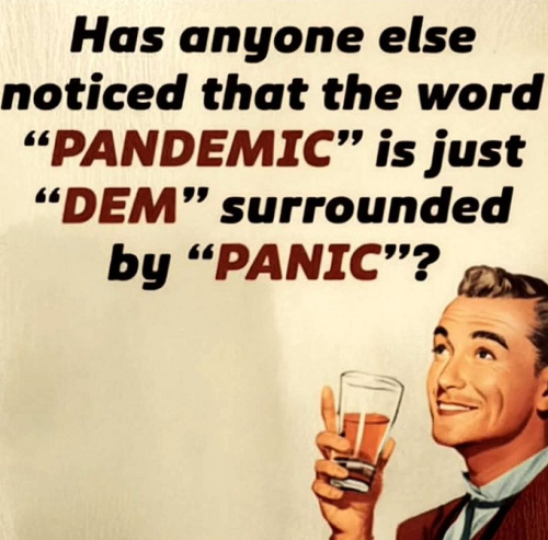 image_2024-12-29_103651047