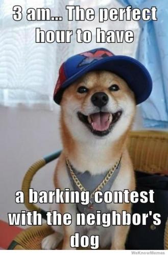 3-am-perfect-hour-have-barking-contest-with-neighbors-dog-weknowmemes