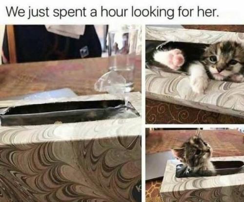 just-spent-hour-looking-her