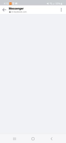 Screenshot_20241215_161328_Messenger