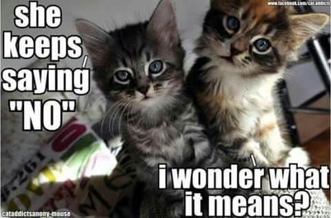 651ffcea2d217cacd91e3a33a5f301ae