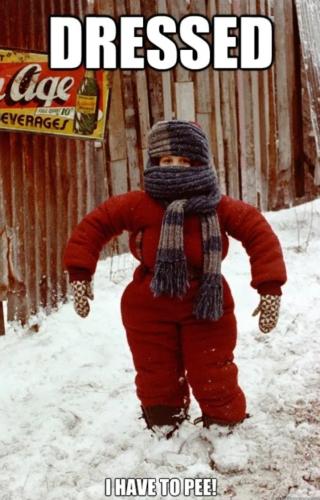 Screenshot_20241223_063253_Gallery