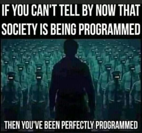 469529566_608275458300037_1071664539212544474_n