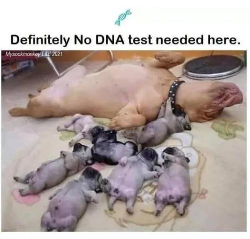 468748190_502279816190799_305576736163246426_n