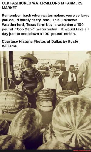 8a406a4e7067f1f6f57cbdccfd33afb7c4c931a8d73fd2f4df7eca58a7d72f44_1