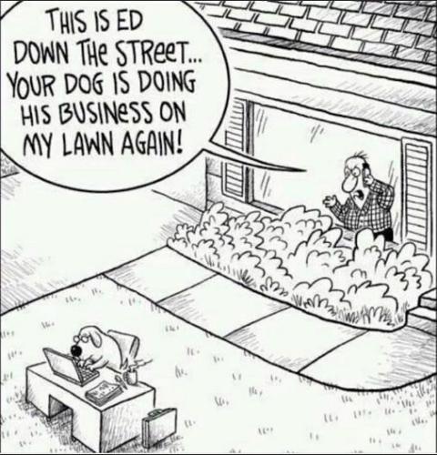 your dog is doing his business on my lawn