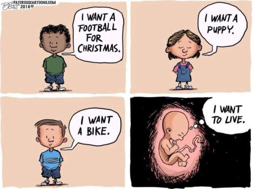 471449046_1013589670792375_1657799442012170034_n