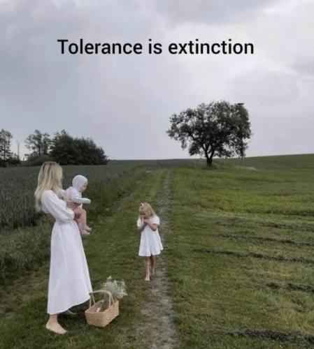 IMG_20241201_023924_946