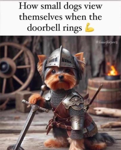 632C3229-E00C-4D86-AC1E-7AE6066BFB96