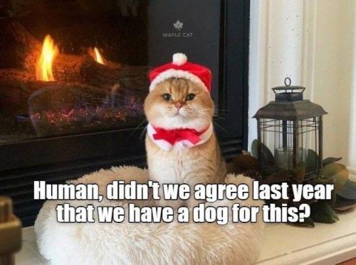 835a2b8166e1dfe59f07c46b271058d1