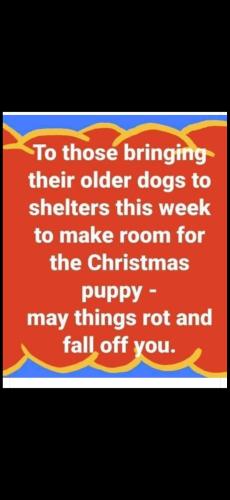 Screenshot_20241202_203921_Photos