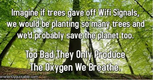 9A797F46-DAAF-40B9-B1EF-9255E917F3A0