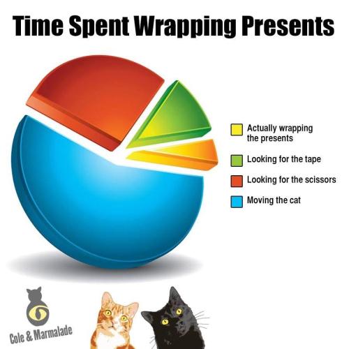 A2C35E2F-A538-4C15-8909-216FA4D771A1