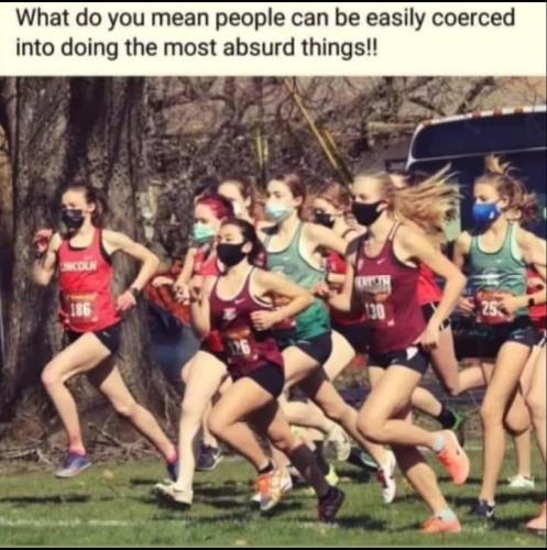 Screenshot_2024-12-12-13-27-55-04_a23b203fd3aafc6dcb84e438dda678b6