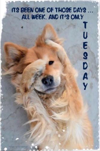 2db0f7e1e8474620a4bf80ca8c9660d7