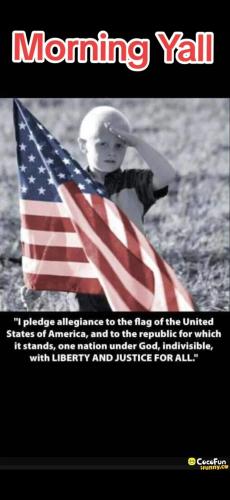 Screenshot_20241228_072559_Gallery