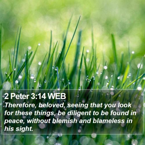 2 Peter  3_14