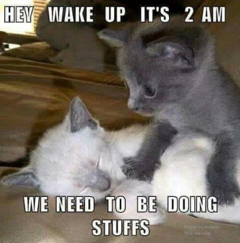 5793ac2c805d7c1a42d102a18159e4f7