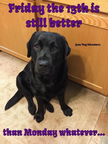 271ae7b74856fe9faea369f74c506ba5