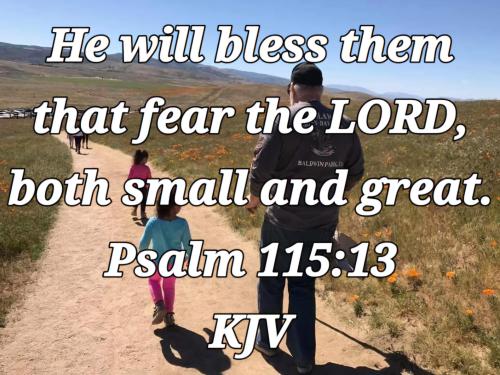 515b52a0-32b7-49a6-a3d8-765dc8deda65