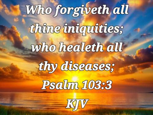 e875dfef-904a-4437-9a34-7370c5c18a47