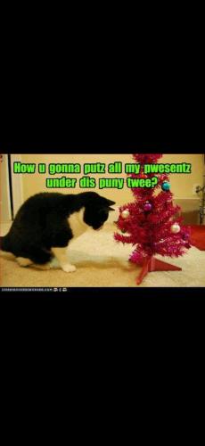 Screenshot_20241130_151348_Photos