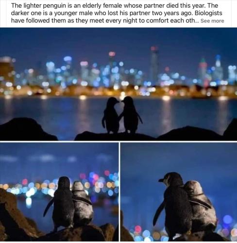 552B8601-D29B-4A16-A608-B9E67D288848