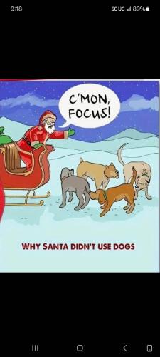 Screenshot_20241219_091850_Messages