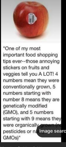 e081f9767cdd6274f5454c2448b64553