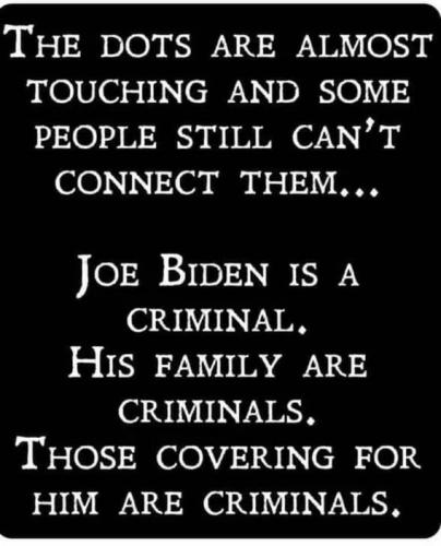 biden criminal g