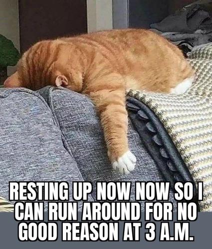 7fa7307375085f56fab603857cea9652