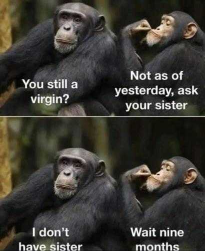 image_17789776-2162-4550-B7EE-2595CB1B3771