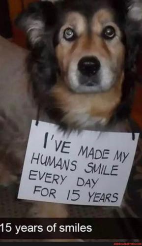 9a1a643aab943e1ecc65845aa74f710581c1322332bd8c82a51c3362be7feeba_1