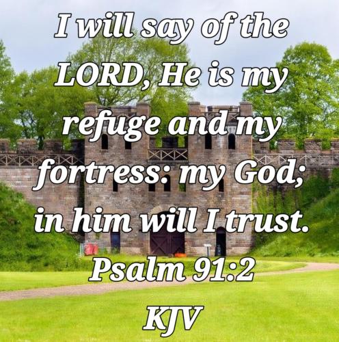 97489be9-5731-443d-8f2d-1ef7565b349a