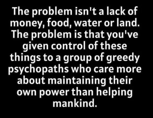 image_2024-12-10_063229814