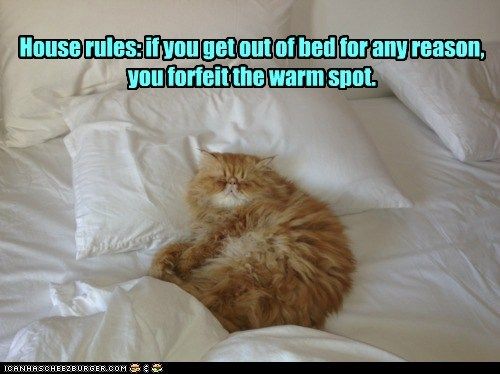 a87283209f905eba1d8211fbaaa0fd90