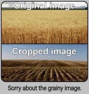 image_B1CD2702-5B14-440B-A36C-DFA29F075F10