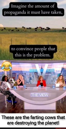 421e09af-8efe-434a-b6e6-790340741ab6