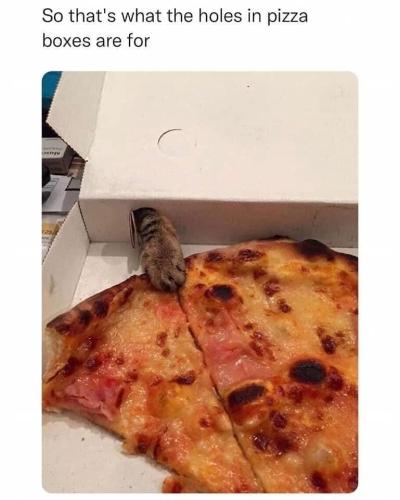 b8d29ba5d58013dbe5fca8206537d9d8