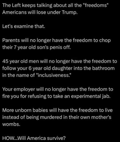 image_2024-12-20_064703939