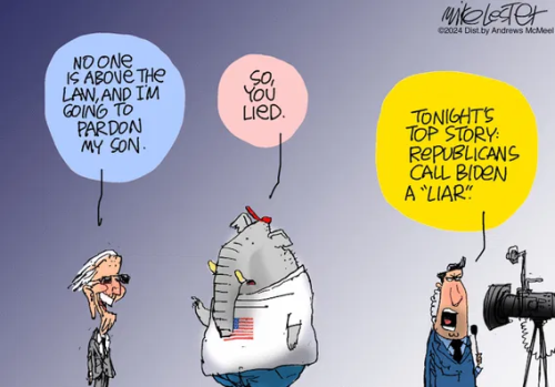 image_2024-12-04_064918523