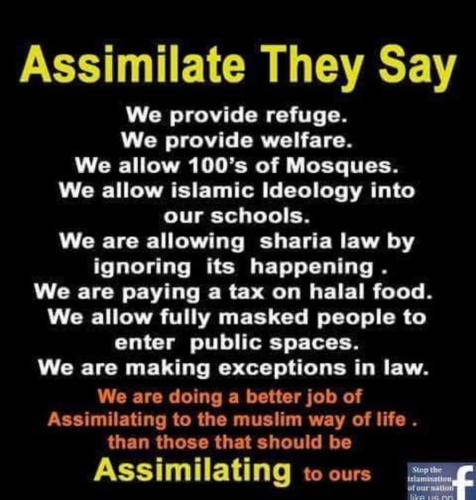 assimilate they say