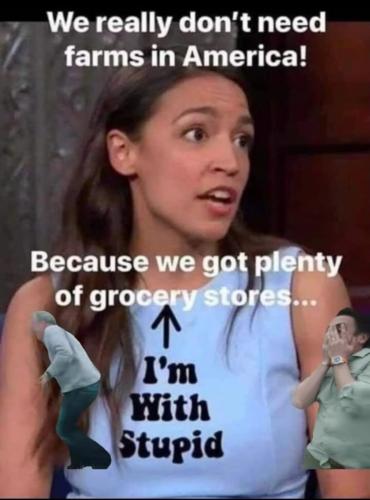 image_F2251654-7A6A-46EA-A028-743B9924E550