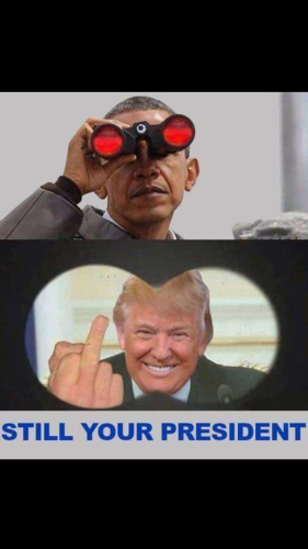 image_2024-12-31_063854398