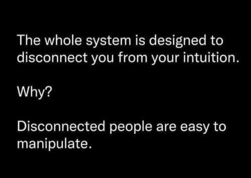 471795370_1633266407279239_3677481100385951872_n